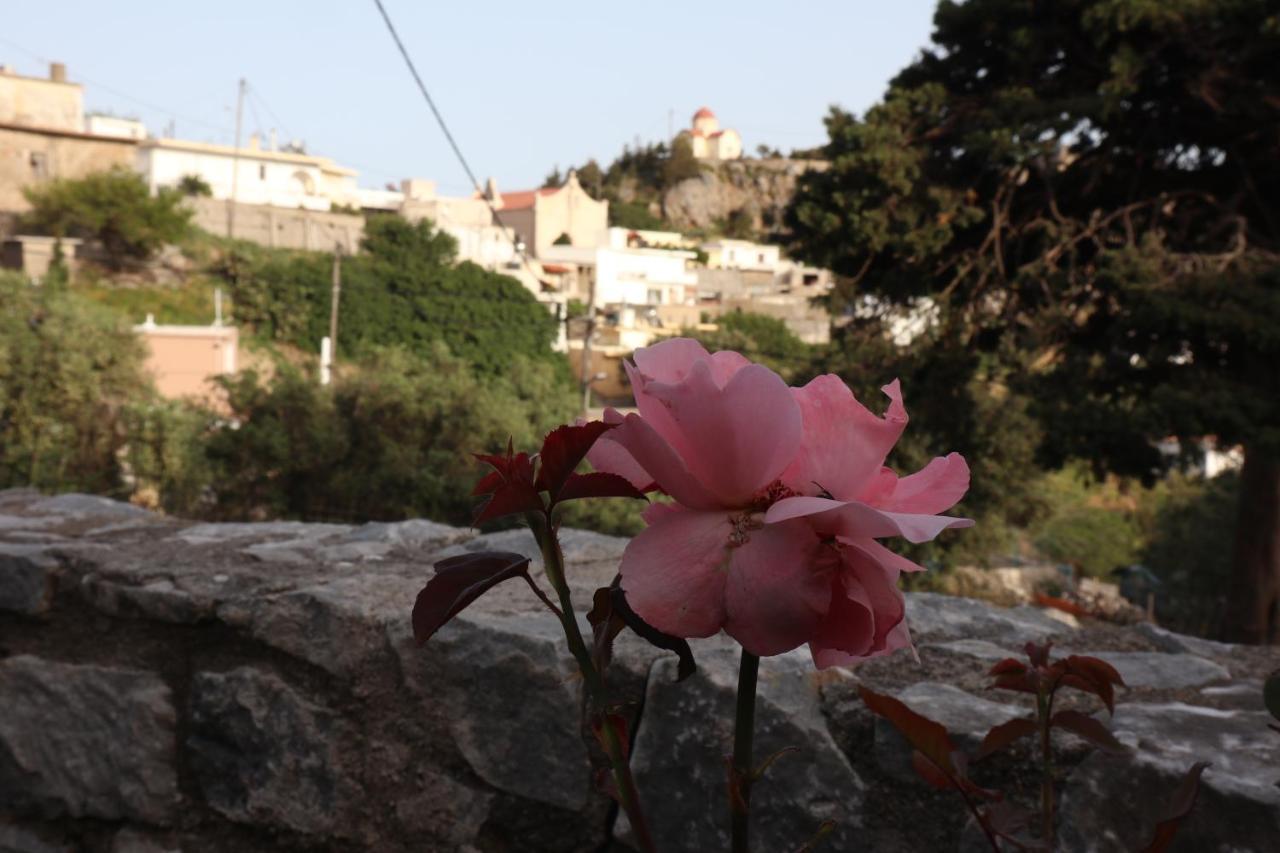 Petasos House - Garden - Sea View Villa Sellía Buitenkant foto
