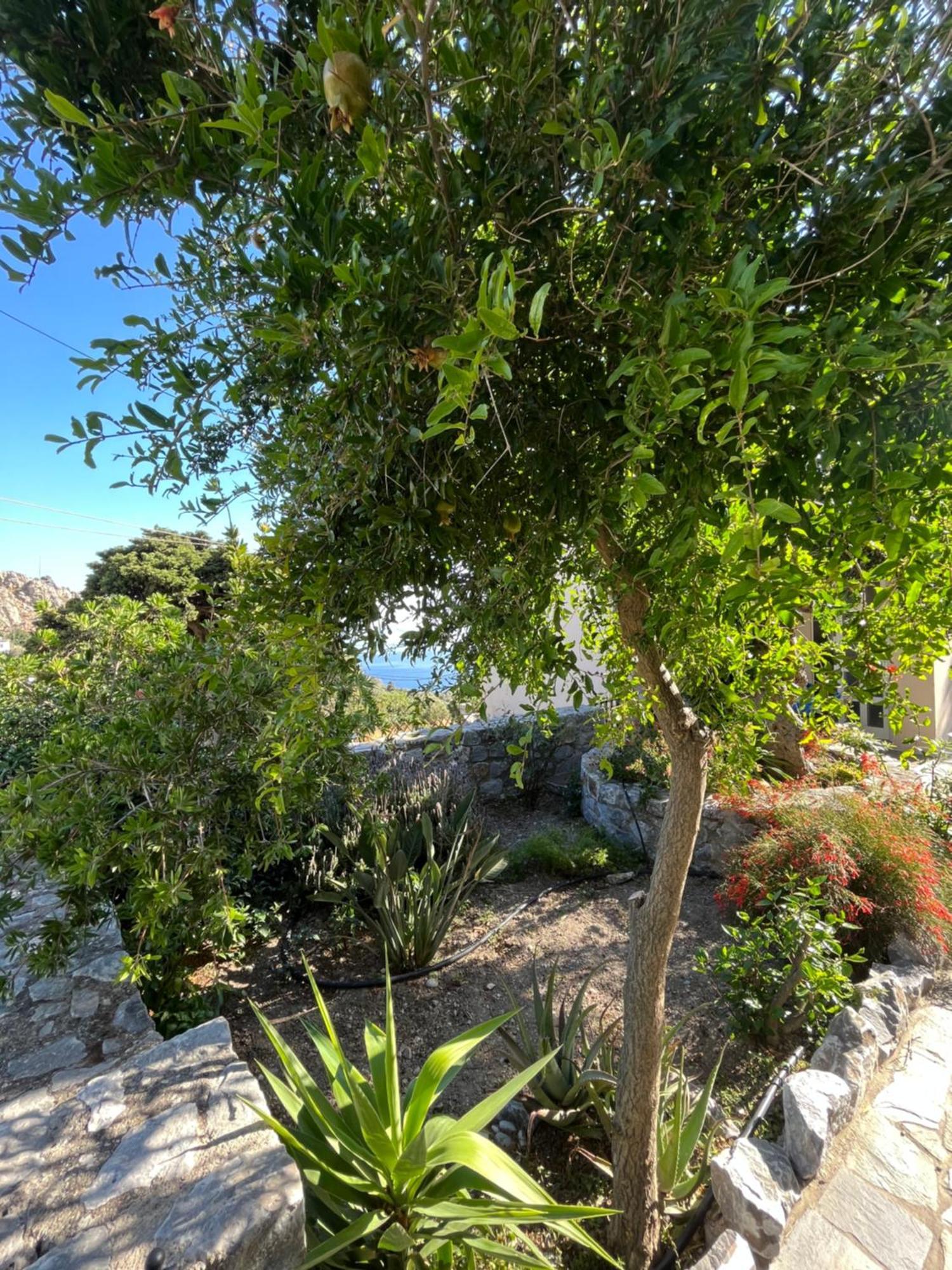 Petasos House - Garden - Sea View Villa Sellía Buitenkant foto
