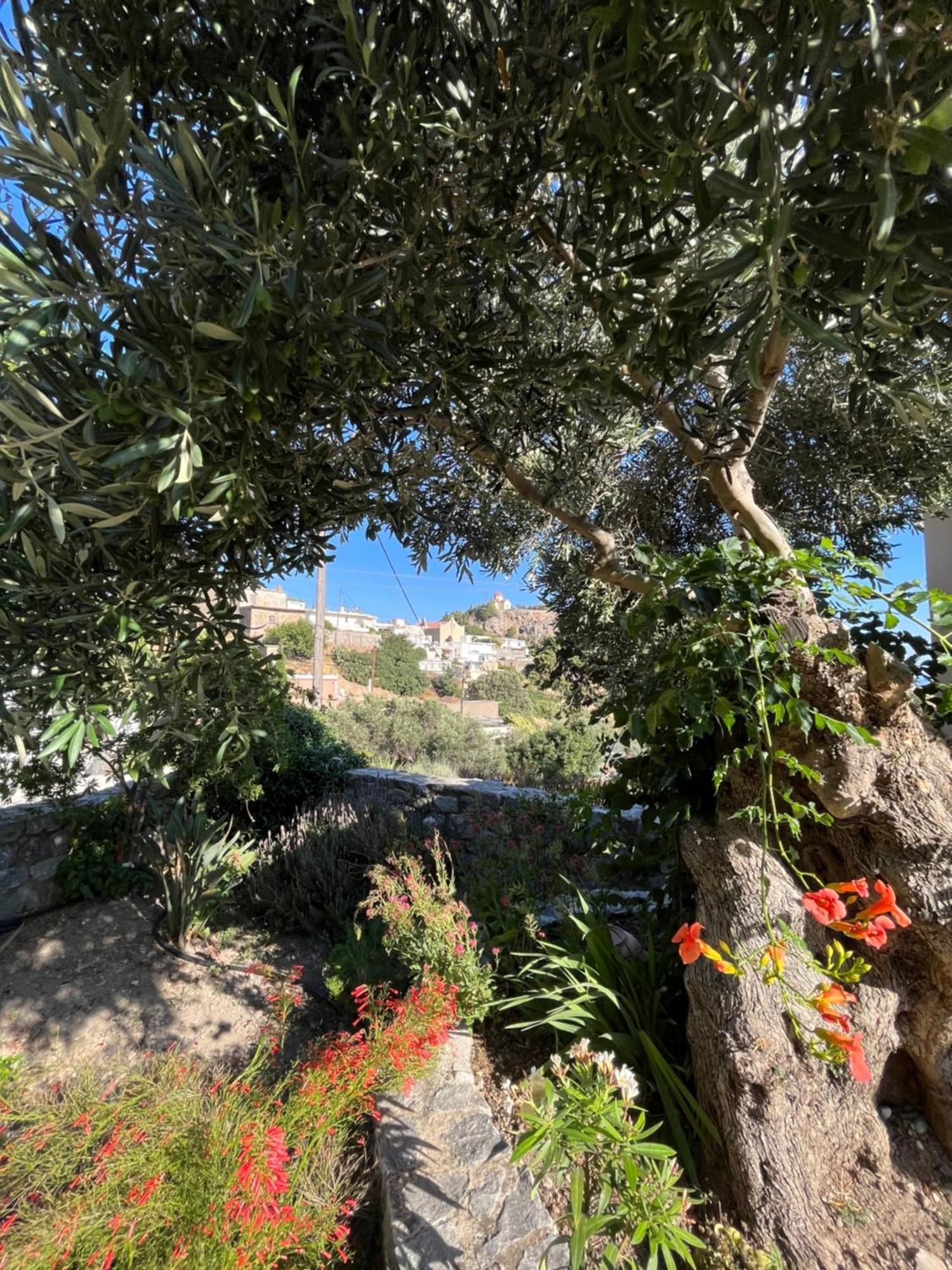 Petasos House - Garden - Sea View Villa Sellía Buitenkant foto