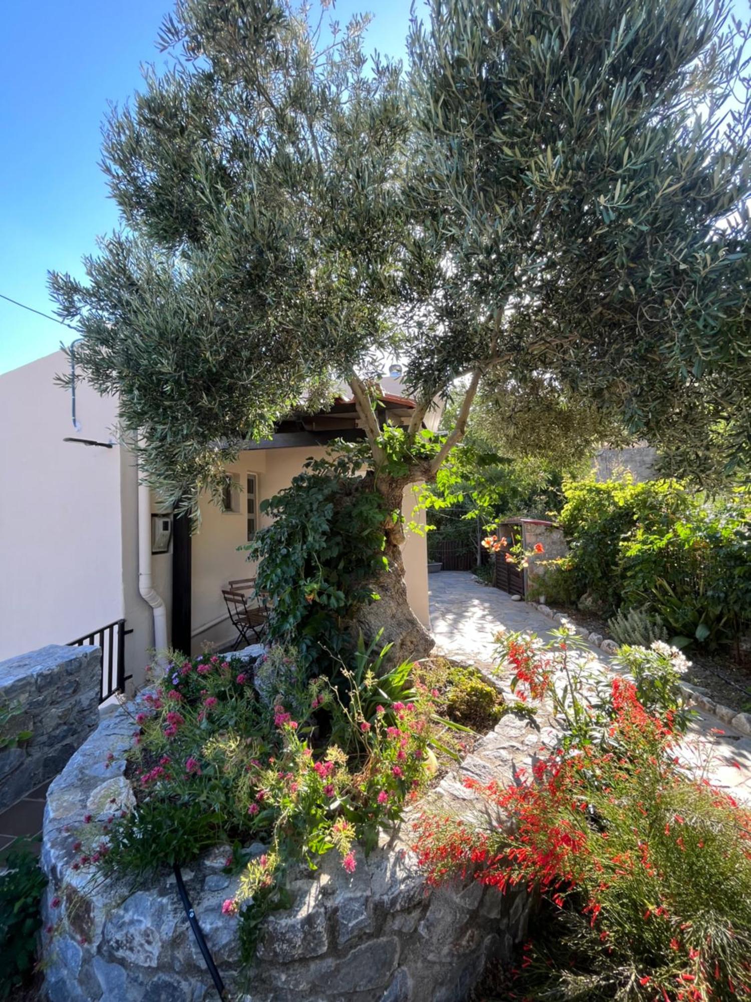 Petasos House - Garden - Sea View Villa Sellía Buitenkant foto